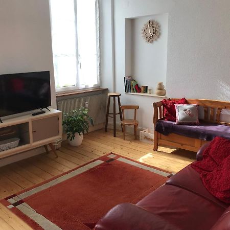 Le Clos Des Iris - Gite Rural 95 M2 Tout Confort En Alsace Bossue Domfessel Kültér fotó