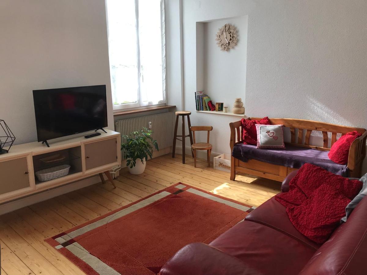 Le Clos Des Iris - Gite Rural 95 M2 Tout Confort En Alsace Bossue Domfessel Kültér fotó